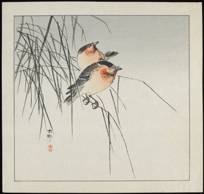 Zwei Vögel auf Schilf, vor 1912 von Ohara Koson